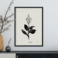 Iris-Artwork-Nacnic-Nacnic Estudio SL