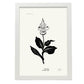 Iris-Artwork-Nacnic-A3-Marco Blanco-Nacnic Estudio SL