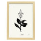 Iris-Artwork-Nacnic-A3-Marco Madera clara-Nacnic Estudio SL