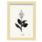 Iris-Artwork-Nacnic-A4-Marco Madera clara-Nacnic Estudio SL