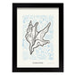 Lace Murex Shell-Artwork-Nacnic-A4-Sin marco-Nacnic Estudio SL