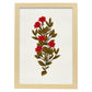 Lámina Arbusto 10. Pósters de plantas,flores y arbustos en estilo Vintage.-Artwork-Nacnic-A3-Marco Madera clara-Nacnic Estudio SL