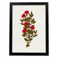 Lámina Arbusto 10. Pósters de plantas,flores y arbustos en estilo Vintage.-Artwork-Nacnic-A3-Marco Negro-Nacnic Estudio SL