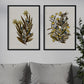 Lámina Arbusto 12. Pósters de plantas,flores y arbustos en estilo Vintage.-Artwork-Nacnic-Nacnic Estudio SL