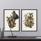 Lámina Arbusto 12. Pósters de plantas,flores y arbustos en estilo Vintage.-Artwork-Nacnic-Nacnic Estudio SL