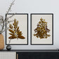 Lámina Arbusto 13. Pósters de plantas,flores y arbustos en estilo Vintage.-Artwork-Nacnic-Nacnic Estudio SL