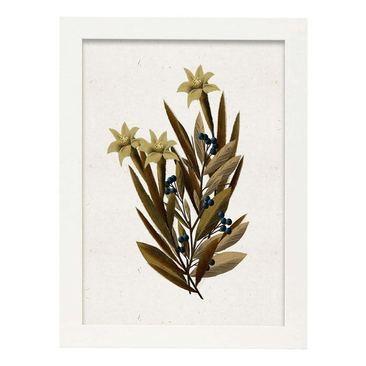 Lámina Arbusto 1. Pósters de plantas,flores y arbustos en estilo Vintage.-Artwork-Nacnic-A4-Marco Blanco-Nacnic Estudio SL