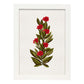 Lámina Arbusto 8. Pósters de plantas,flores y arbustos en estilo Vintage.-Artwork-Nacnic-A3-Marco Blanco-Nacnic Estudio SL