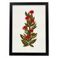 Lámina Arbusto 8. Pósters de plantas,flores y arbustos en estilo Vintage.-Artwork-Nacnic-A3-Marco Negro-Nacnic Estudio SL