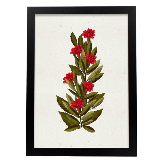 Lámina Arbusto 8. Pósters de plantas,flores y arbustos en estilo Vintage.-Artwork-Nacnic-A4-Marco Negro-Nacnic Estudio SL