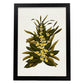 Lámina Arbusto 9. Pósters de plantas,flores y arbustos en estilo Vintage.-Artwork-Nacnic-A3-Marco Negro-Nacnic Estudio SL