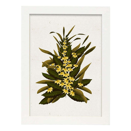 Lámina Arbusto 9. Pósters de plantas,flores y arbustos en estilo Vintage.-Artwork-Nacnic-A4-Marco Blanco-Nacnic Estudio SL