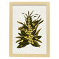Lámina Arbusto 9. Pósters de plantas,flores y arbustos en estilo Vintage.-Artwork-Nacnic-A4-Marco Madera clara-Nacnic Estudio SL