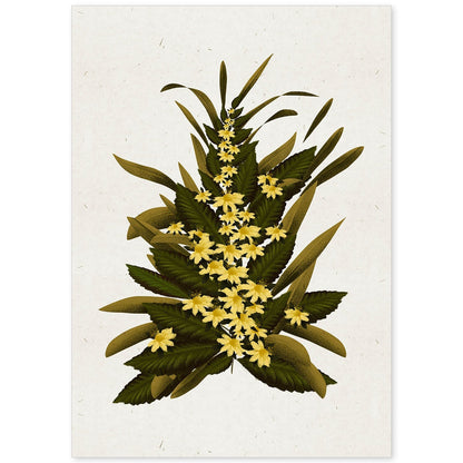 Lámina Arbusto 9. Pósters de plantas,flores y arbustos en estilo Vintage.-Artwork-Nacnic-A4-Sin marco-Nacnic Estudio SL