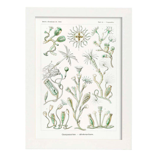 Lamina artistica decorativa con ilustración de Campanario estilo Vintage-Artwork-Nacnic-A4-Marco Blanco-Nacnic Estudio SL