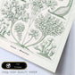 Lamina artistica decorativa con ilustración de Ciliata estilo Vintage-Artwork-Nacnic-Nacnic Estudio SL