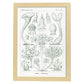 Lamina artistica decorativa con ilustración de Ciliata estilo Vintage-Artwork-Nacnic-A4-Marco Madera clara-Nacnic Estudio SL