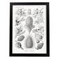 Lamina artistica decorativa con ilustración de Coniferae estilo Vintage-Artwork-Nacnic-A3-Marco Negro-Nacnic Estudio SL