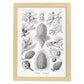 Lamina artistica decorativa con ilustración de Coniferae estilo Vintage-Artwork-Nacnic-A4-Marco Madera clara-Nacnic Estudio SL