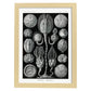 Lamina artistica decorativa con ilustración de Cstoidea estilo Vintage-Artwork-Nacnic-A4-Marco Madera clara-Nacnic Estudio SL