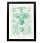 Lamina artistica decorativa con ilustración de Filicinae estilo Vintage-Artwork-Nacnic-A3-Marco Negro-Nacnic Estudio SL