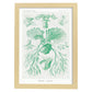 Lamina artistica decorativa con ilustración de Filicinae estilo Vintage-Artwork-Nacnic-A4-Marco Madera clara-Nacnic Estudio SL