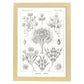 Lamina artistica decorativa con ilustración de Flagelata estilo Vintage-Artwork-Nacnic-A3-Marco Madera clara-Nacnic Estudio SL