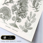 Lamina artistica decorativa con ilustración de Fucoideae estilo Vintage-Artwork-Nacnic-Nacnic Estudio SL