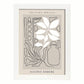 Lamina artistica decorativa con ilustración de Galerie Boheme Herb-Artwork-Nacnic-A4-Marco Blanco-Nacnic Estudio SL