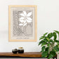 Lamina artistica decorativa con ilustración de Galerie Boheme Herb-Artwork-Nacnic-Nacnic Estudio SL