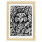 Lamina artistica decorativa con ilustración de Hexacoralla estilo Vintage-Artwork-Nacnic-A4-Marco Madera clara-Nacnic Estudio SL