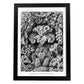 Lamina artistica decorativa con ilustración de Hexacoralla estilo Vintage-Artwork-Nacnic-A4-Marco Negro-Nacnic Estudio SL