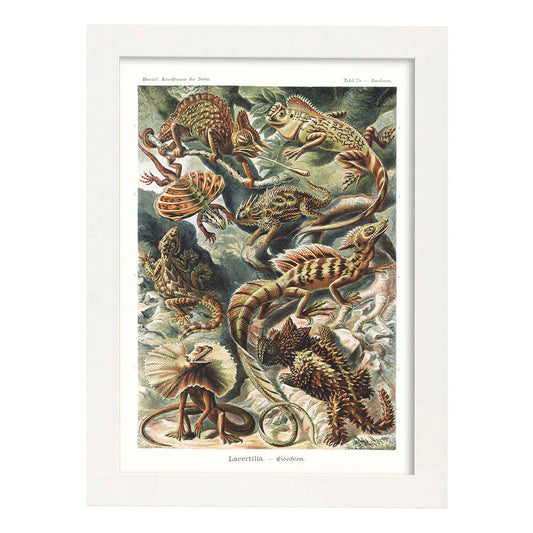 Lamina artistica decorativa con ilustración de Lacermilia estilo Vintage-Artwork-Nacnic-A4-Marco Blanco-Nacnic Estudio SL