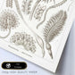 Lamina artistica decorativa con ilustración de Pennatulida estilo Vintage-Artwork-Nacnic-Nacnic Estudio SL