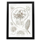 Lamina artistica decorativa con ilustración de Pennatulida estilo Vintage-Artwork-Nacnic-A3-Marco Negro-Nacnic Estudio SL