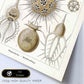 Lamina artistica decorativa con ilustración de Phaeodaria estilo Vintage-Artwork-Nacnic-Nacnic Estudio SL