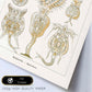 Lamina artistica decorativa con ilustración de Rotatorio estilo Vintage-Artwork-Nacnic-Nacnic Estudio SL