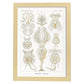 Lamina artistica decorativa con ilustración de Rotatorio estilo Vintage-Artwork-Nacnic-A3-Marco Madera clara-Nacnic Estudio SL