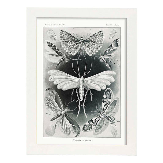 Lamina artistica decorativa con ilustración de Tineida estilo Vintage-Artwork-Nacnic-A4-Marco Blanco-Nacnic Estudio SL