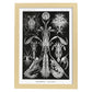 Lamina artistica decorativa con ilustración de Toracostraca estilo Vintage-Artwork-Nacnic-A4-Marco Madera clara-Nacnic Estudio SL