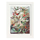 Lamina artistica decorativa con ilustración de Trochilidae estilo Vintage-Artwork-Nacnic-A3-Marco Blanco-Nacnic Estudio SL