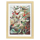 Lamina artistica decorativa con ilustración de Trochilidae estilo Vintage-Artwork-Nacnic-A3-Marco Madera clara-Nacnic Estudio SL