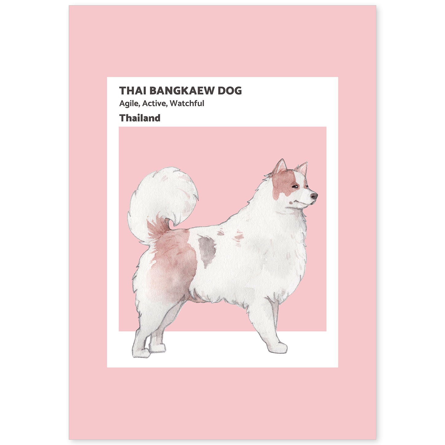 Lámina Bangkaew tailandés. Pósters con ilustraciones de razas de perro en tonos cálidos y pastel.-Artwork-Nacnic-A4-Sin marco-Nacnic Estudio SL