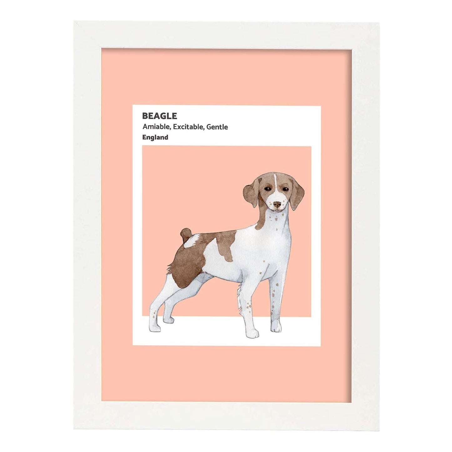 Lámina Beagle. Pósters con ilustraciones de razas de perro en tonos cálidos y pastel.-Artwork-Nacnic-A3-Marco Blanco-Nacnic Estudio SL