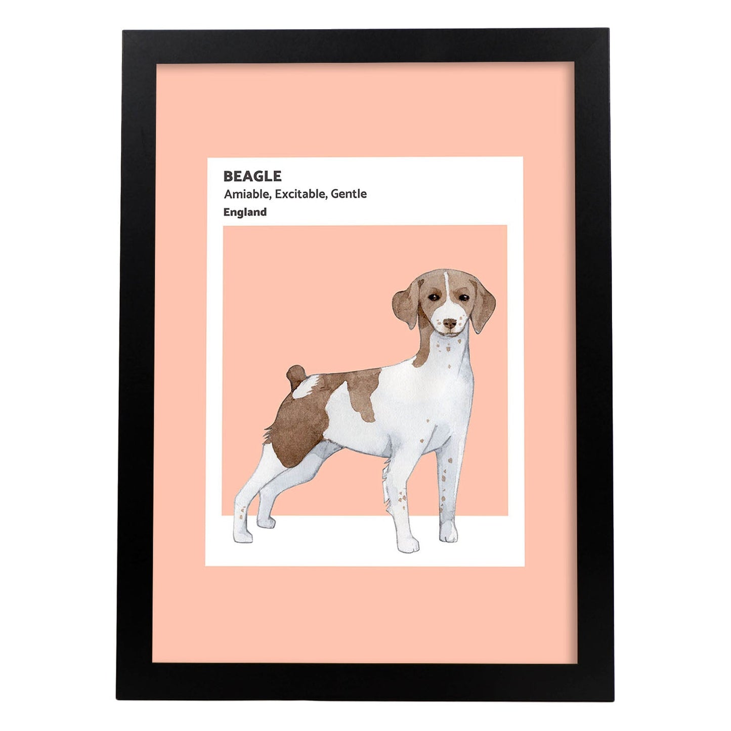 Lámina Beagle. Pósters con ilustraciones de razas de perro en tonos cálidos y pastel.-Artwork-Nacnic-A3-Marco Negro-Nacnic Estudio SL