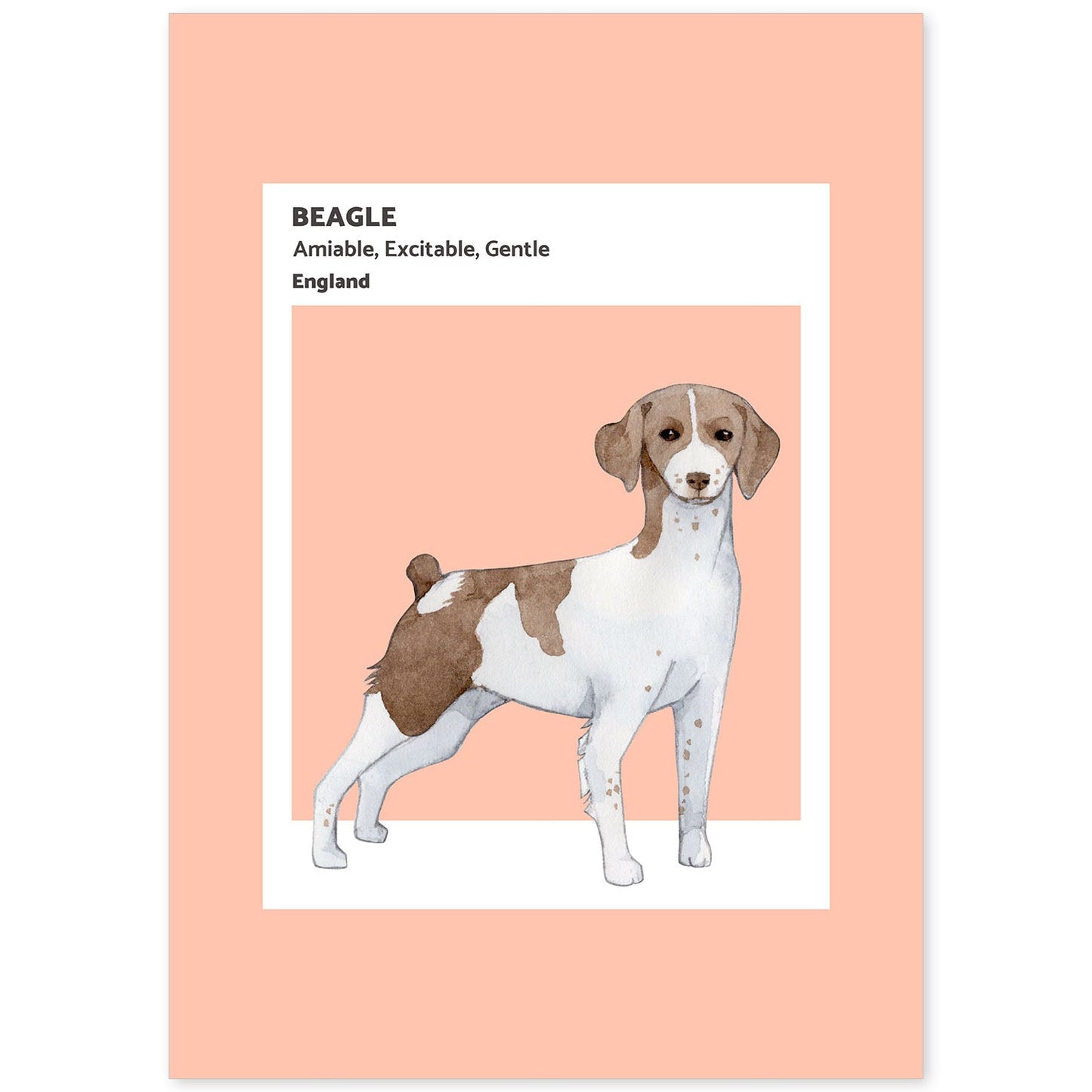 Lámina Beagle. Pósters con ilustraciones de razas de perro en tonos cálidos y pastel.-Artwork-Nacnic-A4-Sin marco-Nacnic Estudio SL