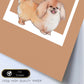 Lámina Bichón Habanero. Pósters con ilustraciones de razas de perro en tonos cálidos y pastel.-Artwork-Nacnic-Nacnic Estudio SL
