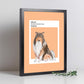 Lámina Border Collie. Pósters con ilustraciones de razas de perro en tonos cálidos y pastel.-Artwork-Nacnic-Nacnic Estudio SL
