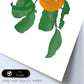 Lámina Botánica acuarela 10. Pósters con ilustraciones de plantas y flores en estilo acuarela.-Artwork-Nacnic-Nacnic Estudio SL
