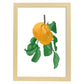 Lámina Botánica acuarela 10. Pósters con ilustraciones de plantas y flores en estilo acuarela.-Artwork-Nacnic-A3-Marco Madera clara-Nacnic Estudio SL
